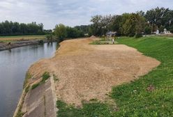 Wypoczywał nad rzeką. Sparaliżowany trafił do szpitala