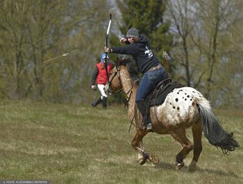Średniowieczne monety znalezione pod Grunwaldem. Wypadły komuś z sakiewki?