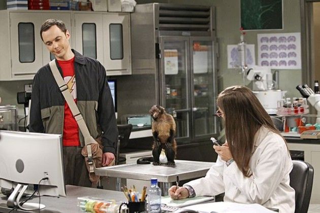 10 powodów, dla których warto oglądać "The Big Bang Theory" (tak, nadal!) 7