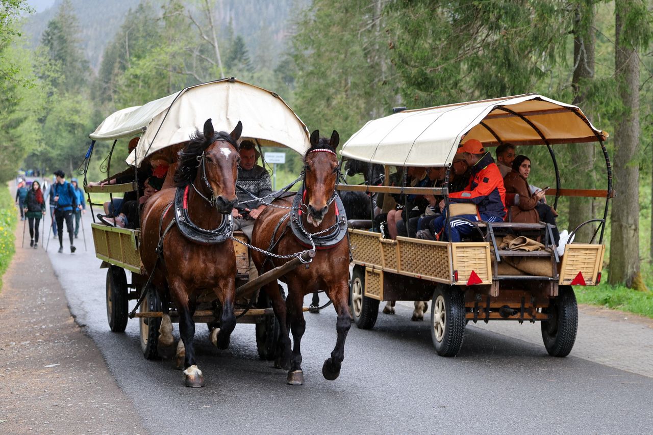 Morskie Oko. Spóźnili się na transport konny. Zadzwonili po TOPR
