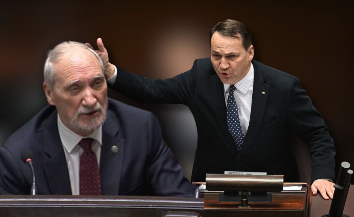 Czarzasty nie mógł pomóc, Sikorski nie wytrzymał. "Antek, świrze"