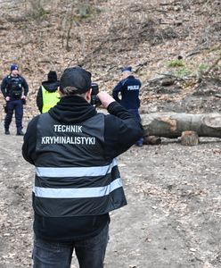 Pień przygniótł przedszkolaków. Jest komunikat Lasów Państwowych