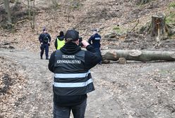 Pień przygniótł przedszkolaków. Jest komunikat Lasów Państwowych