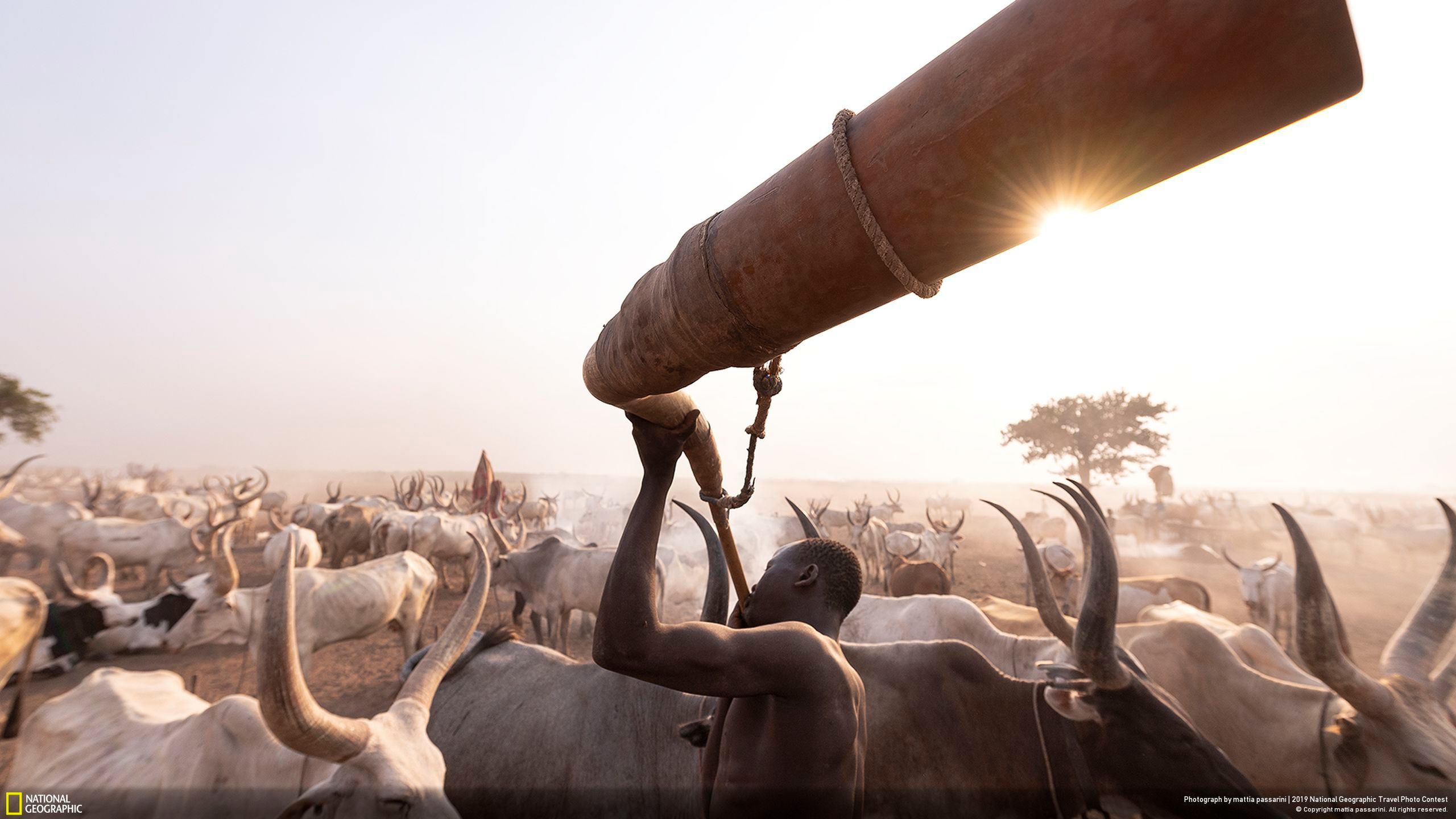 Niesamowite zdjęcia finalistów National Geographic Travel Contest 2019 35