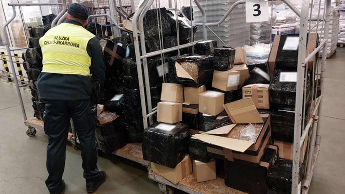 Nielegalny tytoń w 127 paczkach. KAS wykryła w Zielonej Górze po