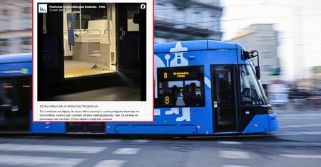 Chwile grozy w tramwaju. Pasażerowie przeżyli horror