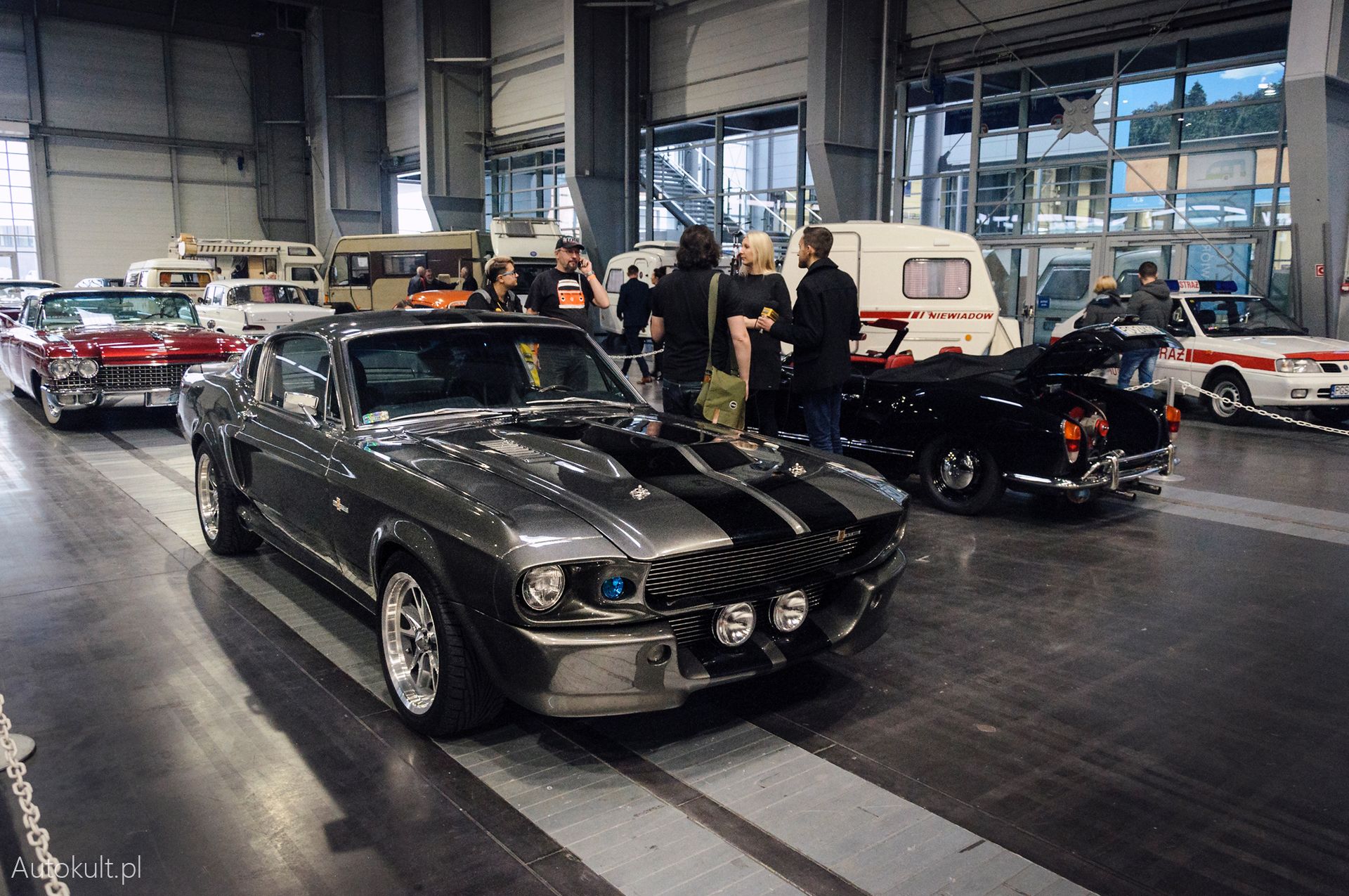 Na RMS trafiły także klasyki filmowe. Na zdjęciu shelby GT500E, czyli replika gwiazdy filmu "60 sekund". Na targach znajdziecie także GT500 bliższe oryginałowi - auto wycenione jest na 550 tys. zł.