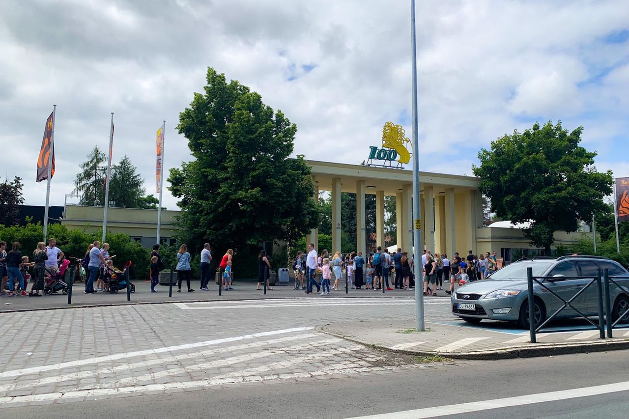 Wrocław. Jubileusz wrocławskiego ogrodu zoologicznego. Ma 155 lat