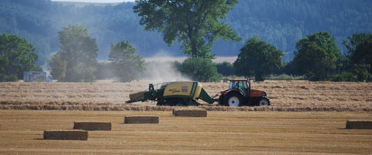 Ceny amoniaku wystrzeliły. Efekt będzie jeden: jeszcze większa drożyzna w sklepach