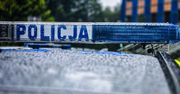 Świecie: 51-latek zamienił kontener w plantację konopi indyjskich