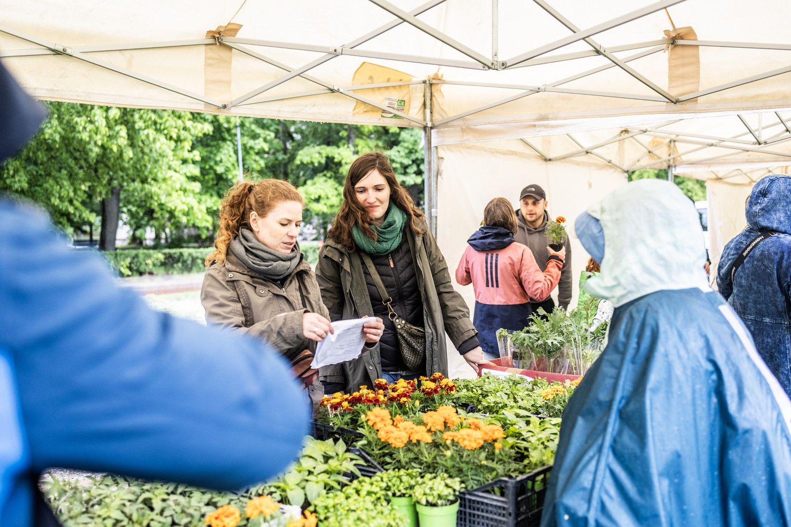 Świeże warzywa, owoce, koncerty oraz... życie jeży. Jadalny Kraków Fest urządzono na Wesołej
