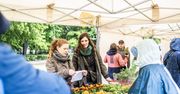 Świeże warzywa, owoce, koncerty oraz... życie jeży. Jadalny Kraków Fest urządzono na Wesołej