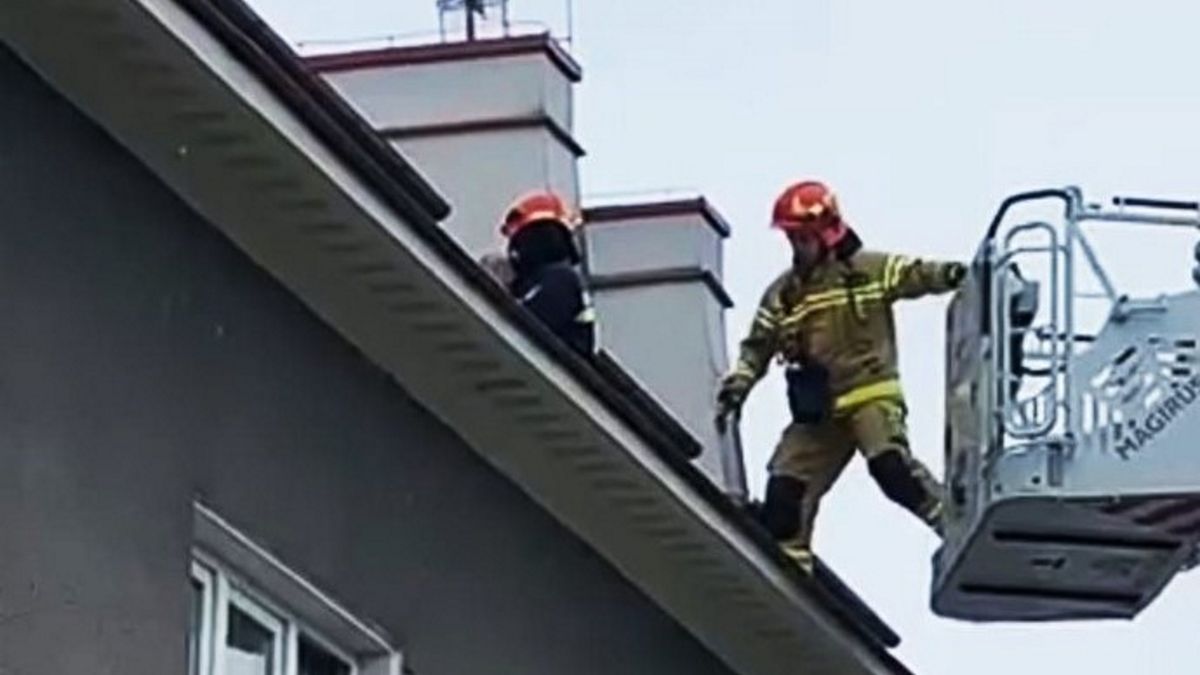 Zdjęcie ilustracyjne.