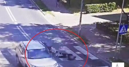 72-latek na wózku został potrącony na przejściu dla pieszych. Szokujące nagranie