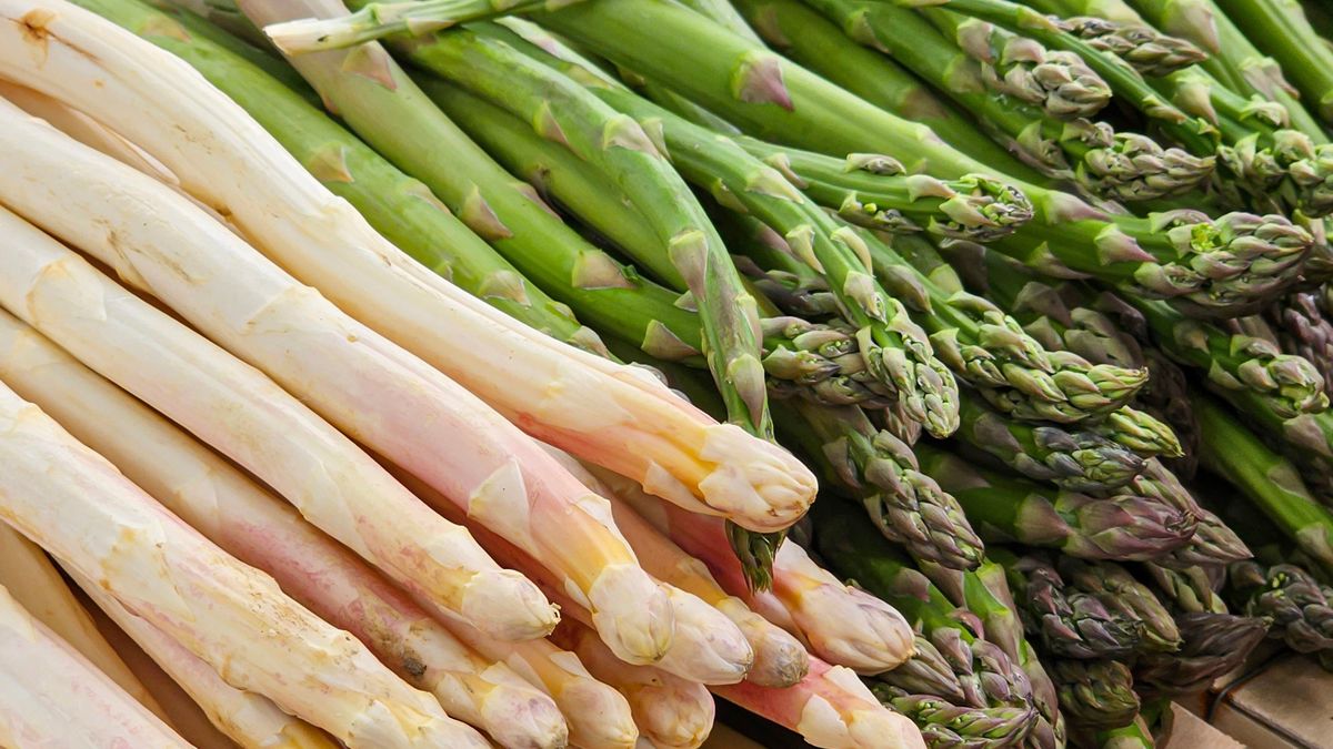 Porównanie szparagów białych i zielonych