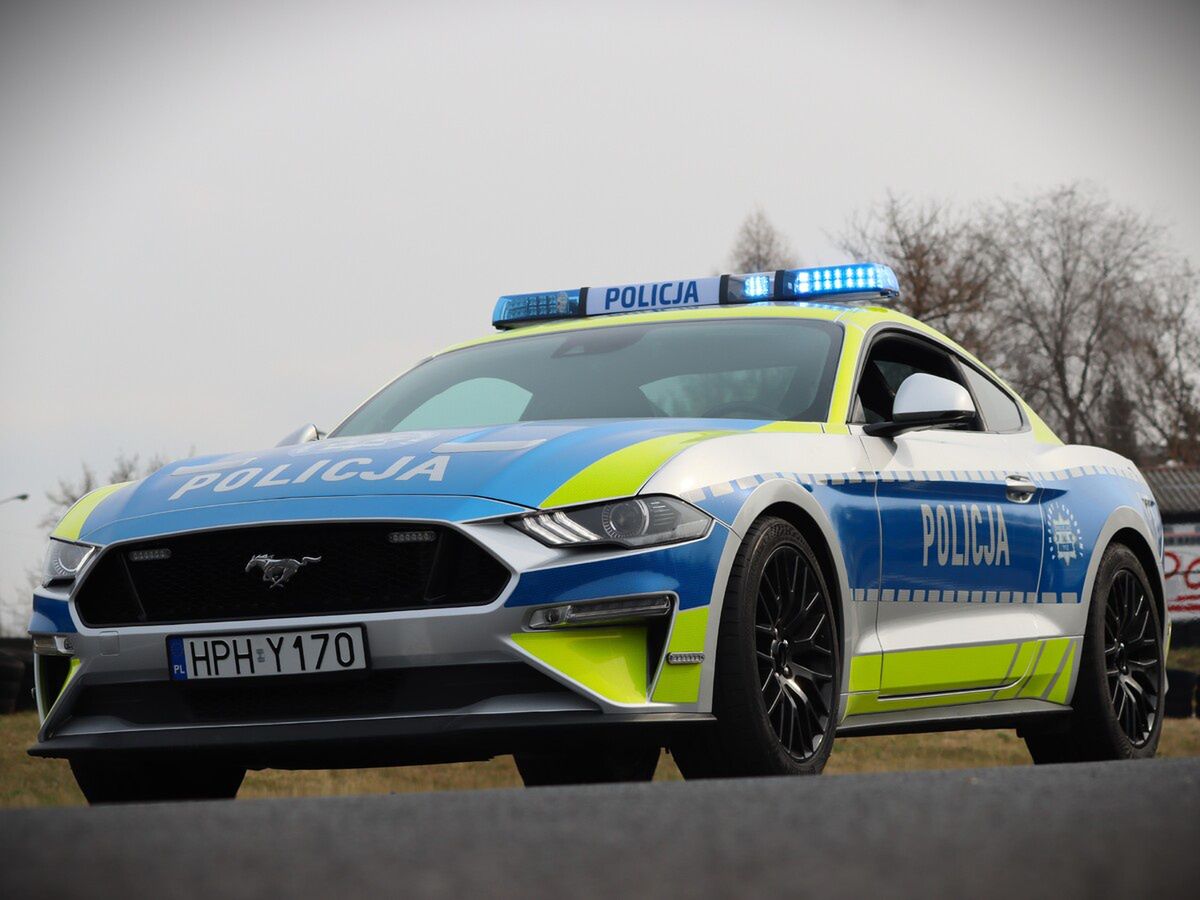 Mustang