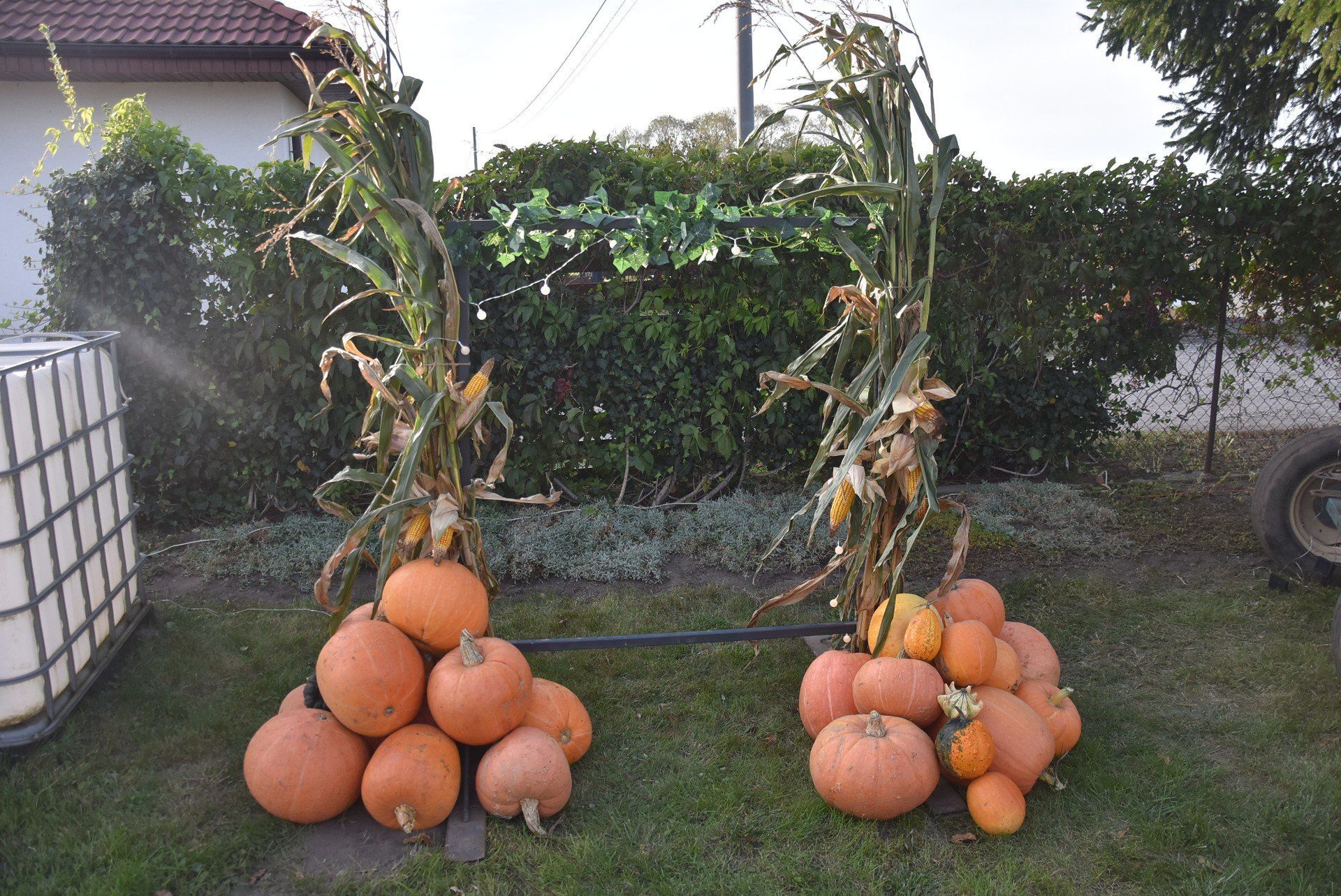 Dyniowy Ogród w Kłodzinie