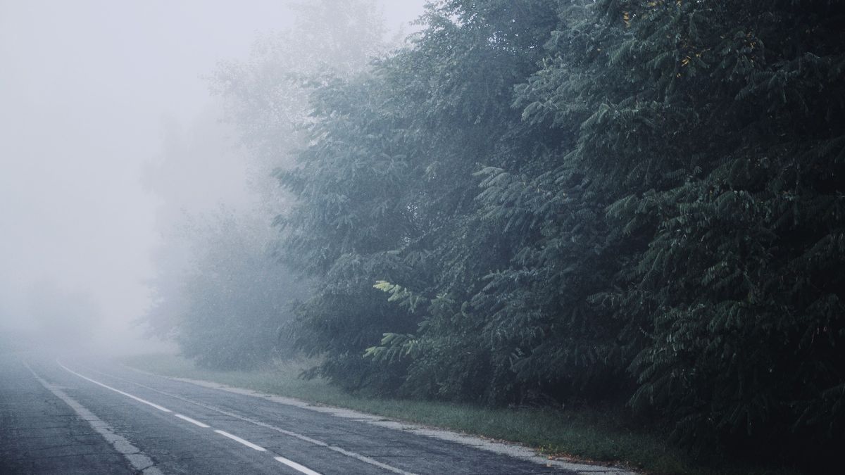 W większości kraju tworzyć się będą mgły