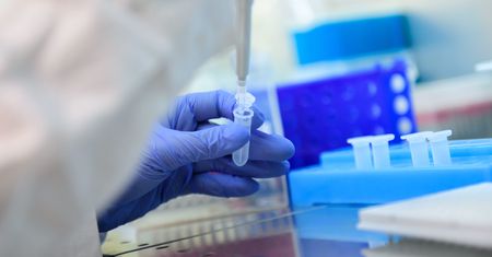 Badacze z UW zbadali związki chemiczne, które mogą osłabić COVID-19. Pomogła im sztuczna inteligencja