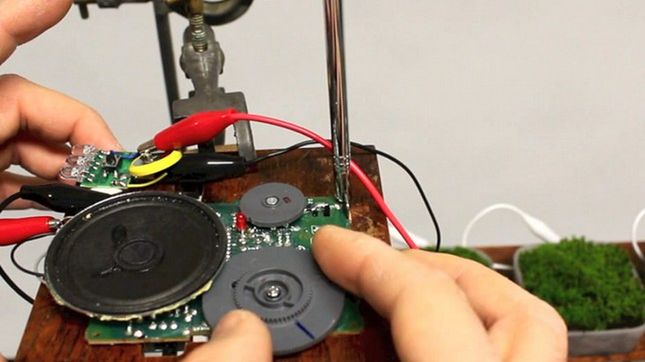 Moss FM - prąd z fotosyntezy, czyli pierwsze na świecie radio zasilane roślinami 1