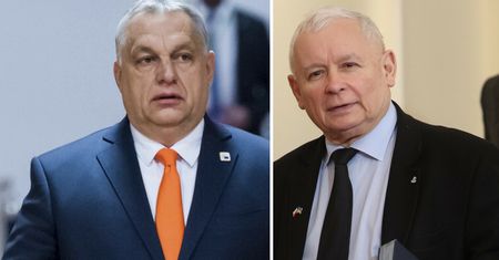 Koniec wielkiego sojuszu PiS z Orbanem? Grupa V4 bojkotuje Węgry