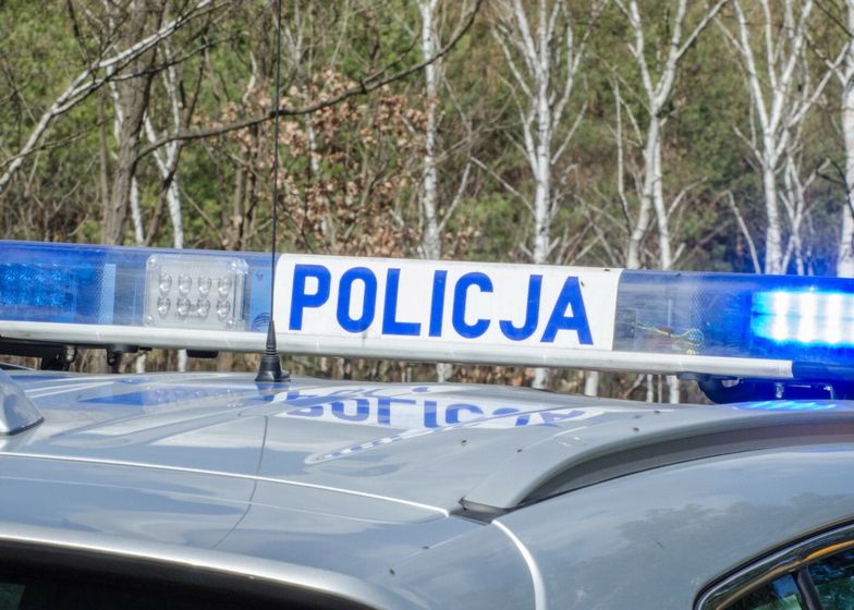 8-latka postrzelona pod szkołą w Poznaniu. Trzy osoby usłyszały zarzuty