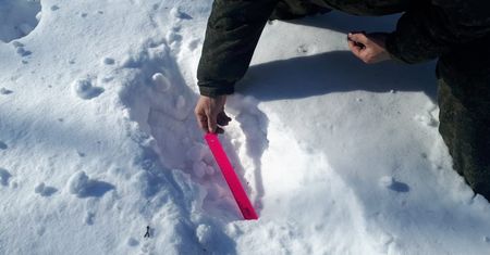 Mieszkańcy Jakucji zaskoczeni obecnością niedźwiedzia polarnego