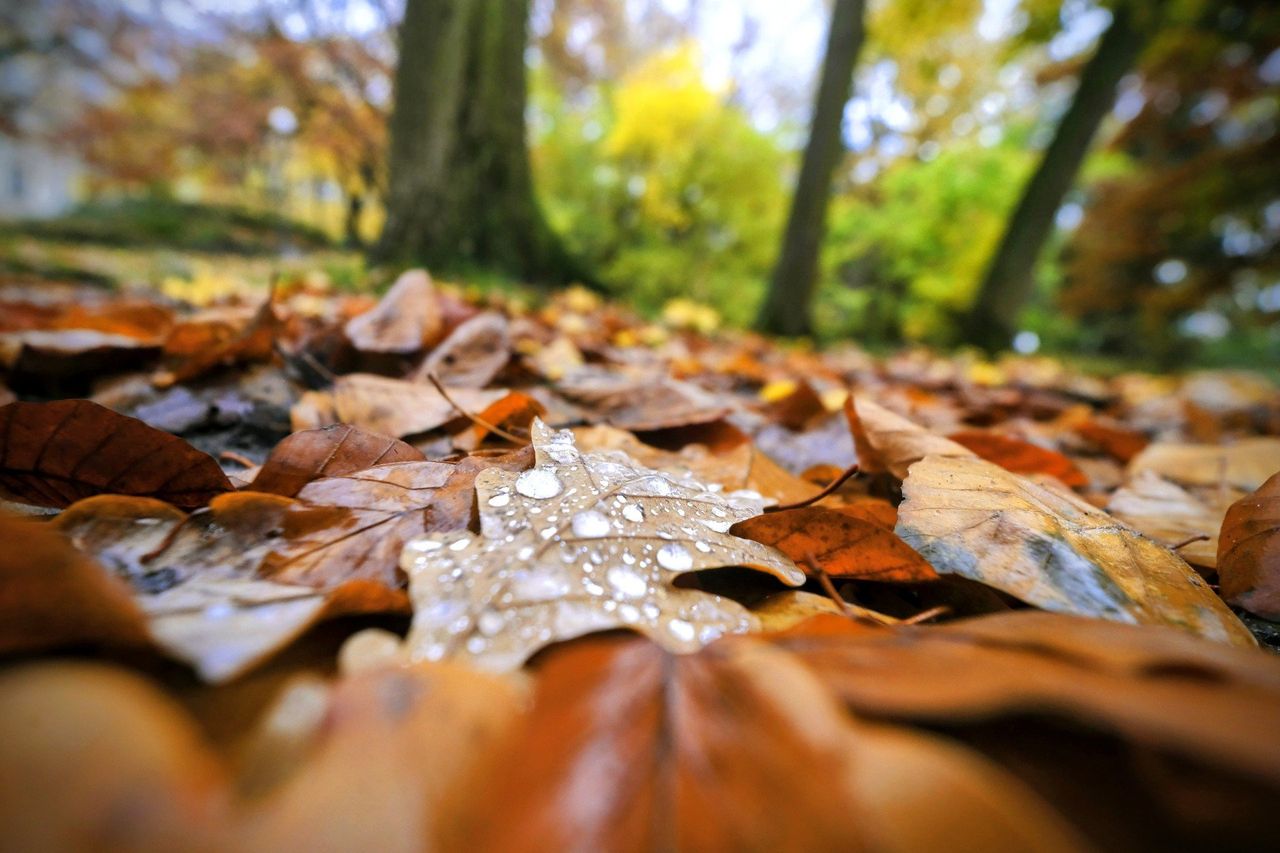 Nadciąga zmiana pogody i duże zaskoczenie