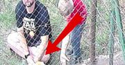 Wandalizm w schronisku w Brodnicy. Nagranie wywołało burzę. "Co on ma w głowie?"