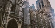 Francja. Polka pracuje przy odbudowie katedry Notre-Dame