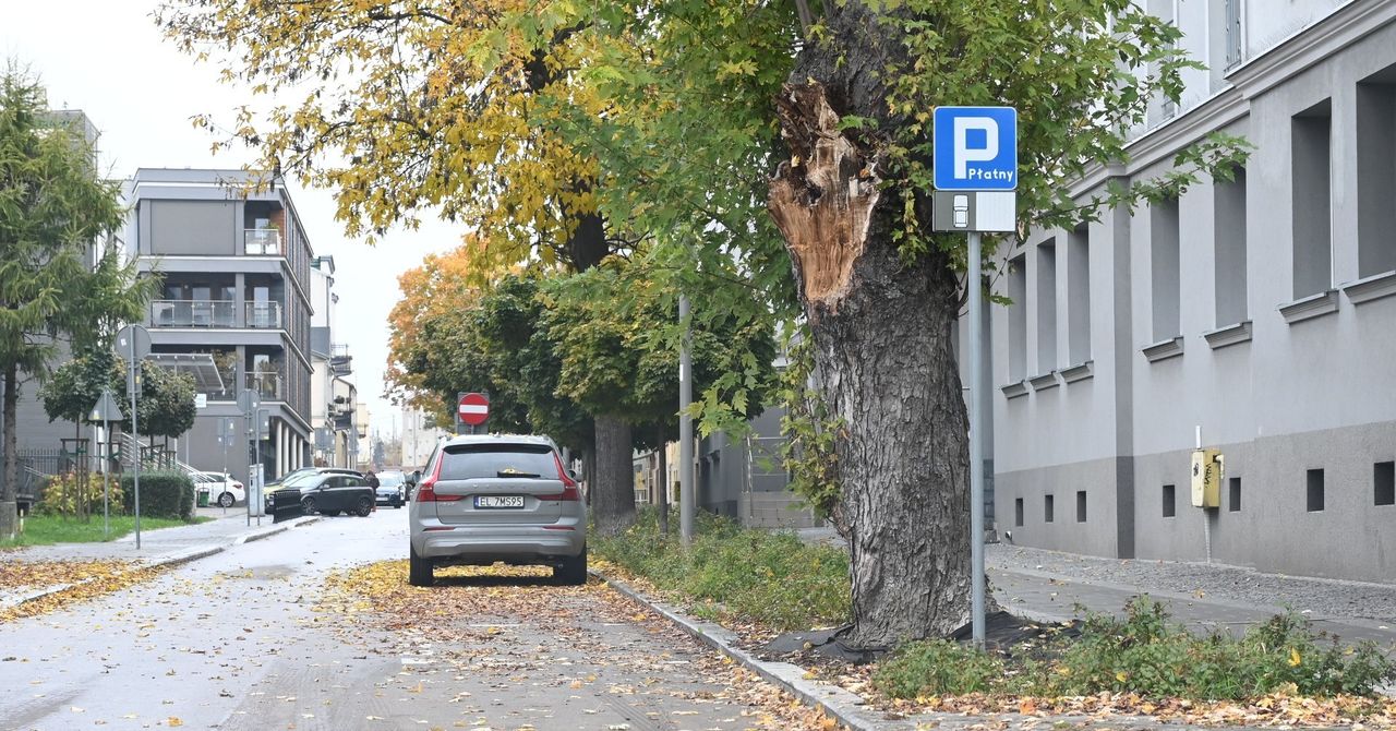 Kielce: Nowe miejsca parkingowe w centrum