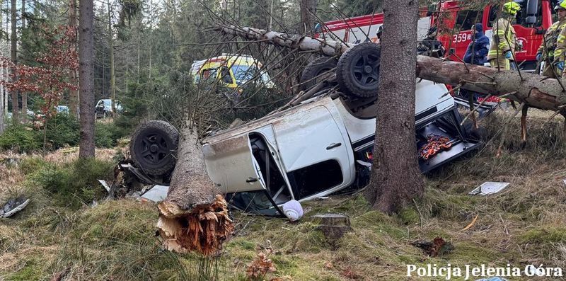 Ściął dwa świerki, auto dachowało