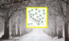 Prognoza długoterminowa IMGW. Jaka będzie pogoda w zimie 2025/2026?