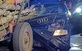 11-letnia Lena nie żyje. Śledczy o tragedii na Mazowszu