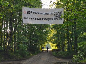 Młoszowa: Nie chcą wycinki drzew i budowy drogi. Walczą o puszczę