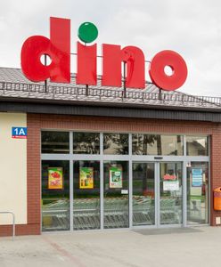 Możesz zbudować własny sklep Dino. Kolekcjonerzy będą zachwyceni