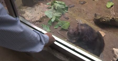 Niesamowita reakcja. Zobaczył człowieka, który uratował go 35 lat temu