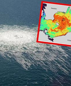Metan z Nord Stream w Bałtyku. Dotarł do Polski