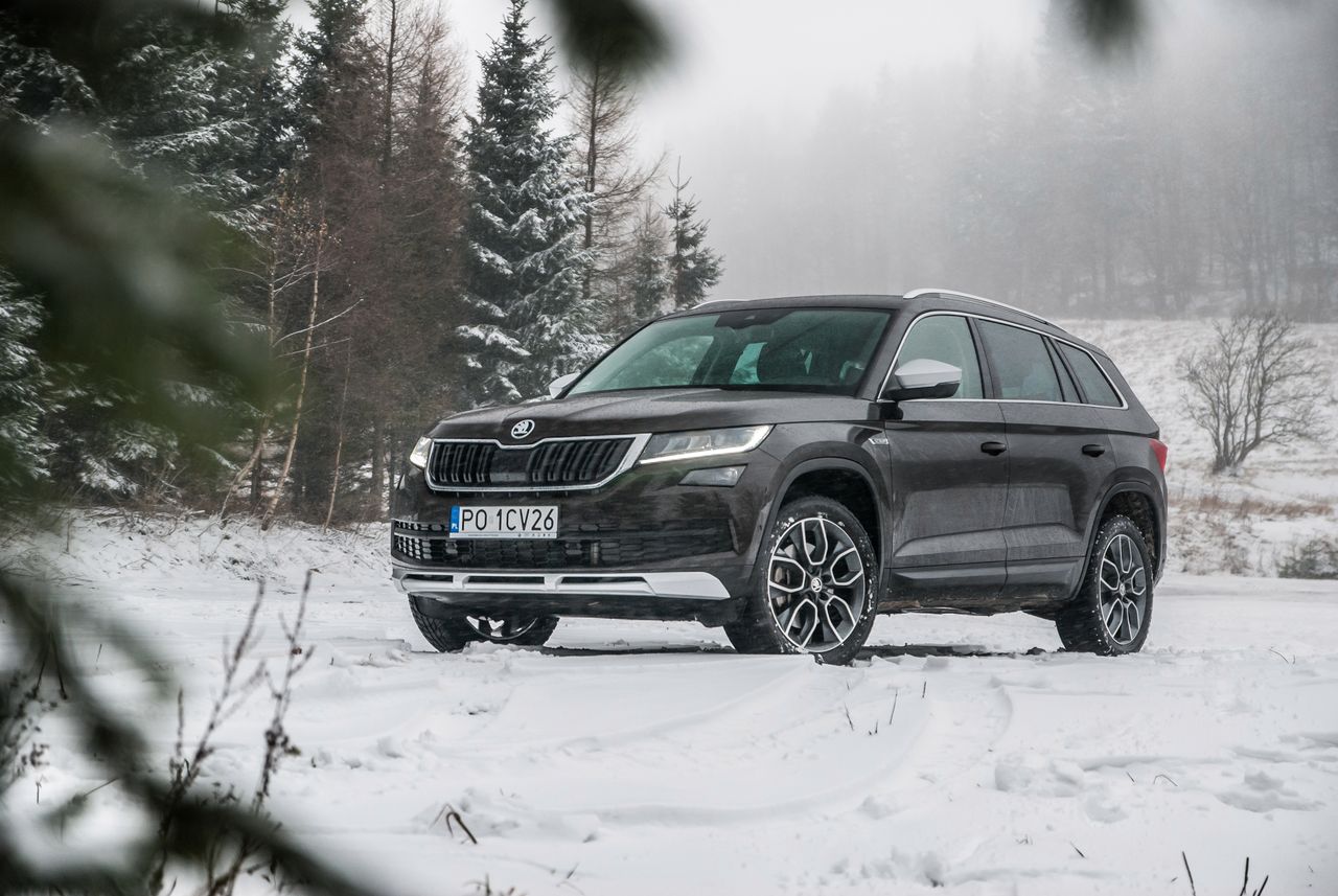 Škoda Kodiaq Scout 2.0 TDI 4x4 - czeski sposób na bezdroża