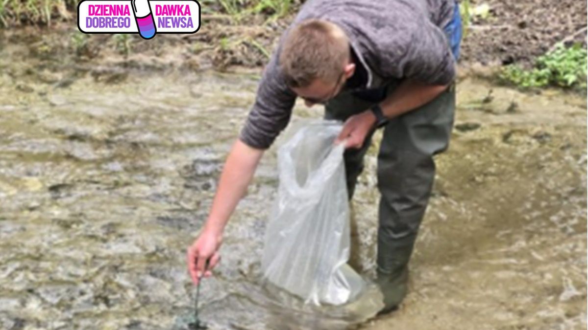 Trocie wędrowne wracają do woj. świętokrzyskiego.