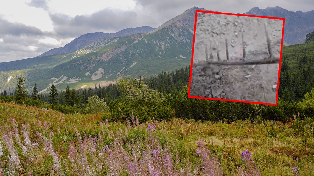 Skandaliczne zabezpieczenie działki na Podhalu