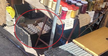 Handlowali nimi spod lady. Przeprowadzono kontrolę. Oto efekt