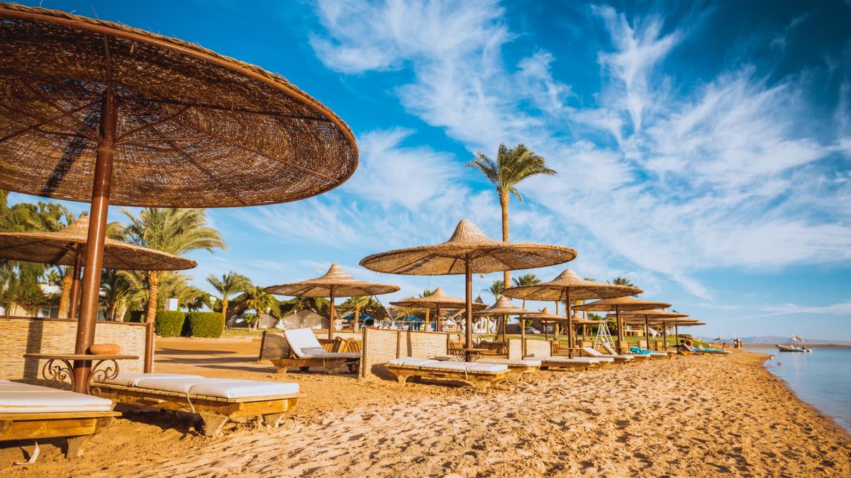 Egipt to remedium na zimę