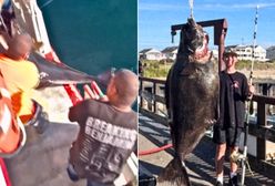 Złowił większą rybę od siebie. Nagranie z USA. "O mój Boże, co to jest?"
