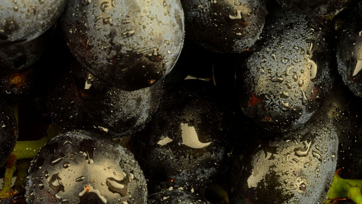 4 jesienne skarby pól i sadów. Jedz, a serce będzie ci wdzięczne