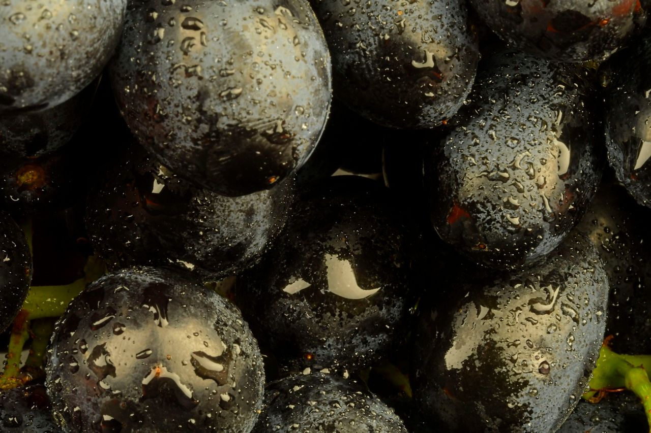 Jesienny skarb. Chroni przed zakrzepicą, rakiem i zawałem serca