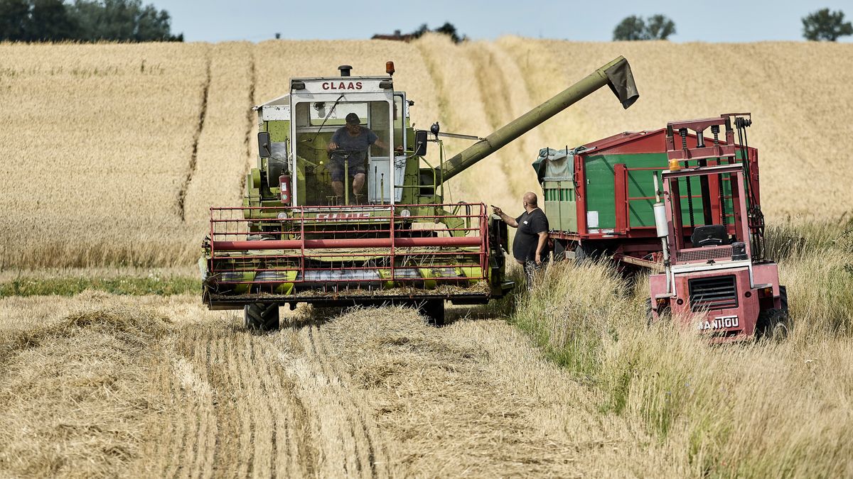 Polscy rolnicy oraz producenci rolni chcą sprawiedliwych zasad ws. jakości ukraińskich produktów i limitów ilościowych dla importu