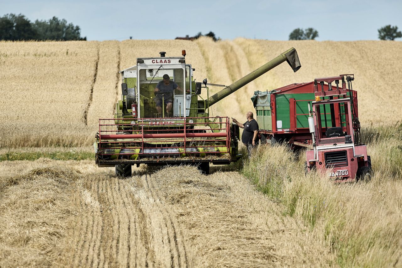 Zwrot w UE ws. importu z Ukrainy? "Pierwsze dobre wieści w tym roku"