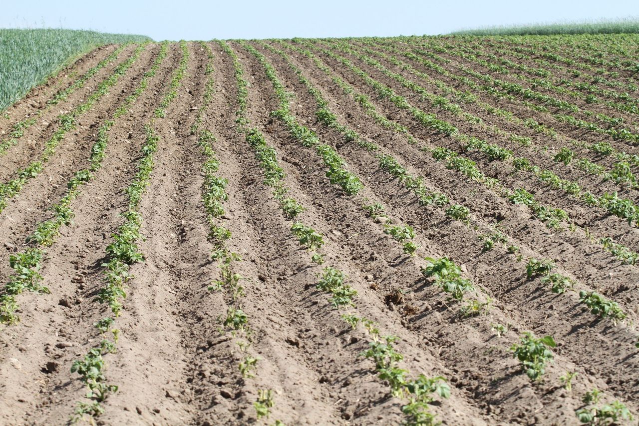 Polskie gospodarstwa w kryzysie. Wieś czeka na ratunek tu i teraz