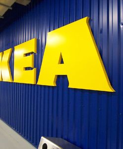 Od 4 maja duże sklepy znów otwarte. Ikea prosi, by klienci wstrzymali się ze zwrotami